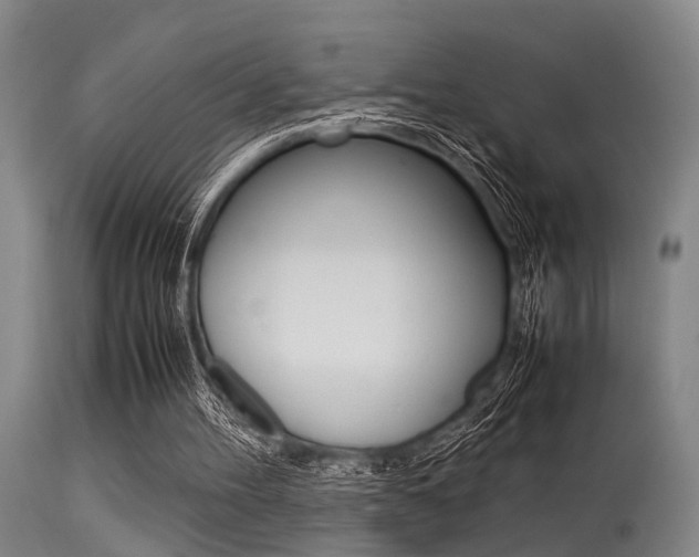 X0000115720100200911121112
