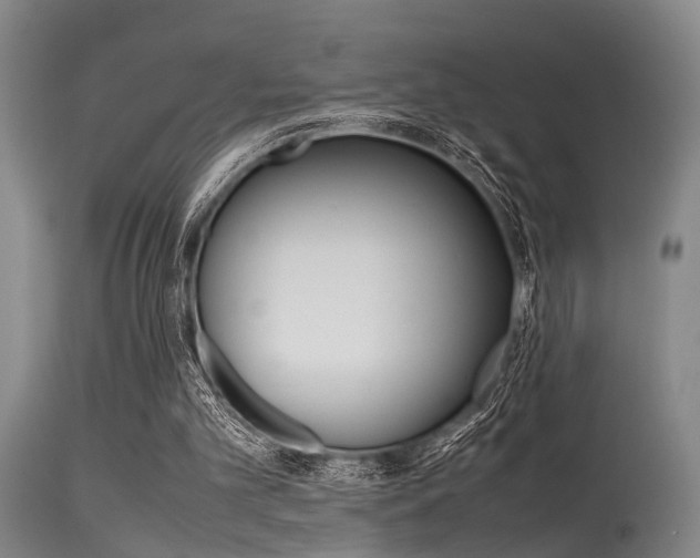 X0000115720101200911121112