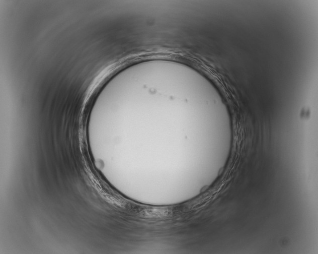 X0000115720102200911121112