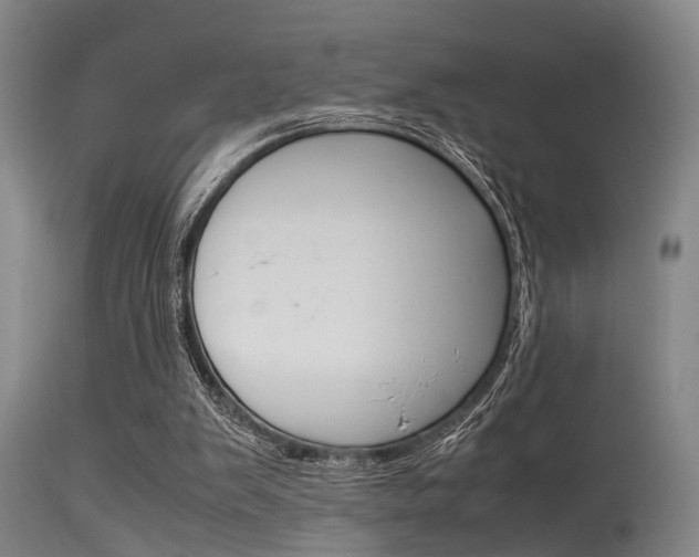 X0000115720103200911121112