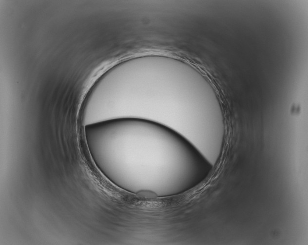 X0000115720104200911121112