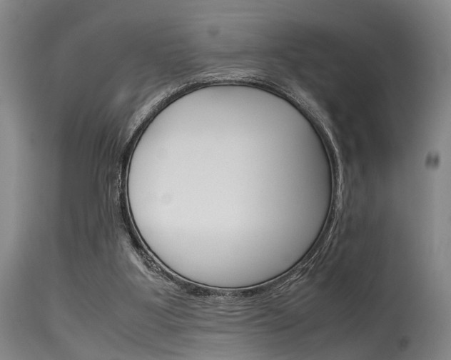 X0000115720107200911121112