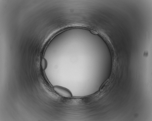 X0000115720108200911121112