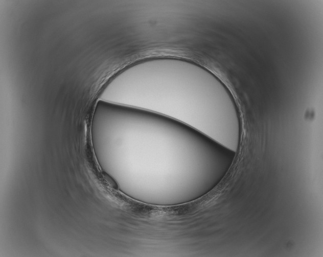 X0000115720109200911121112