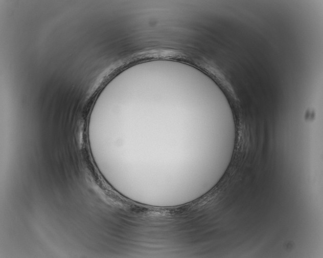 X0000115720110200911121112