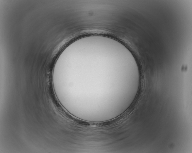 X0000115720111200911121112