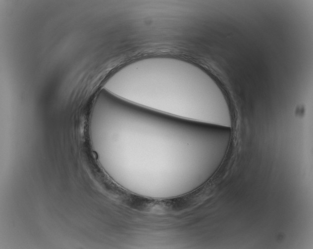 X0000115720115200911121112