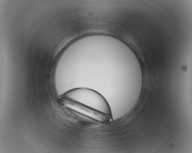X0000115720116200911121112