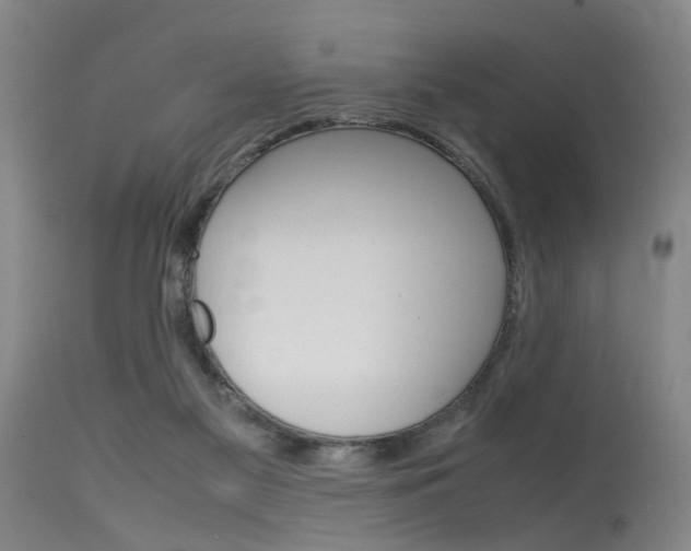 X0000115720117200911121112