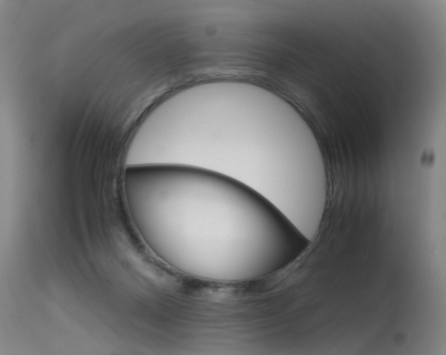 X0000115720120200911121112