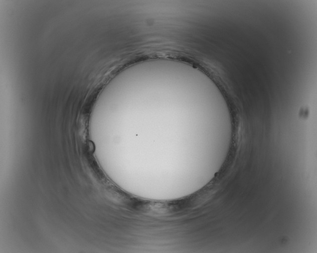X0000115720121200911121112