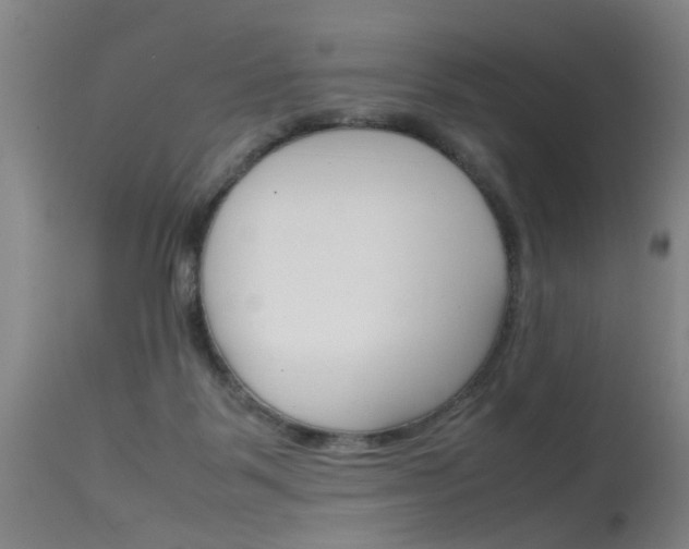 X0000115720123200911121112