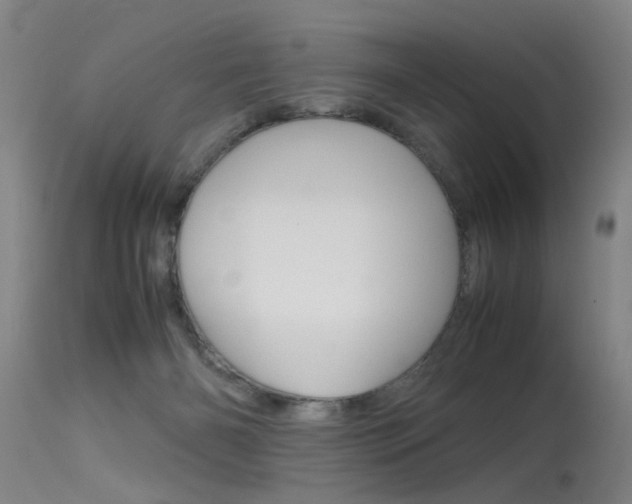 X0000115720126200911121112