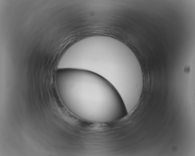 X0000115720128200911121112