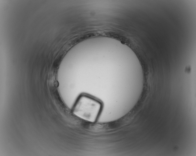 X0000115720129200911121112