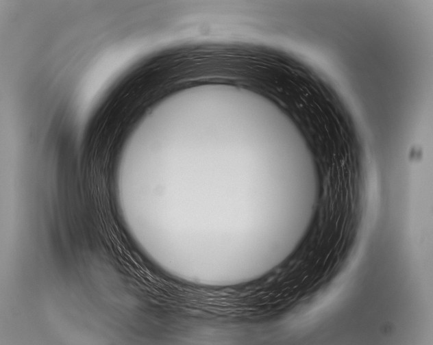 X0000115720146200911121111