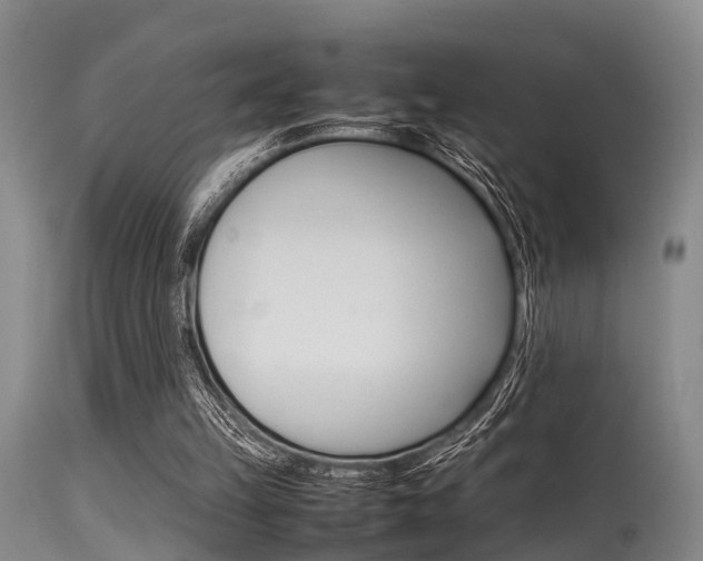X0000115720149200911121111
