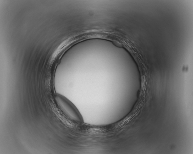 X0000115720150200911121111