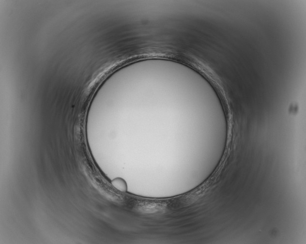 X0000115720155200911121111
