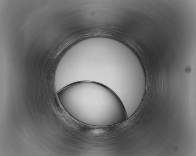 X0000115720158200911121111