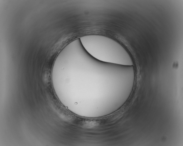 X0000115720161200911121111