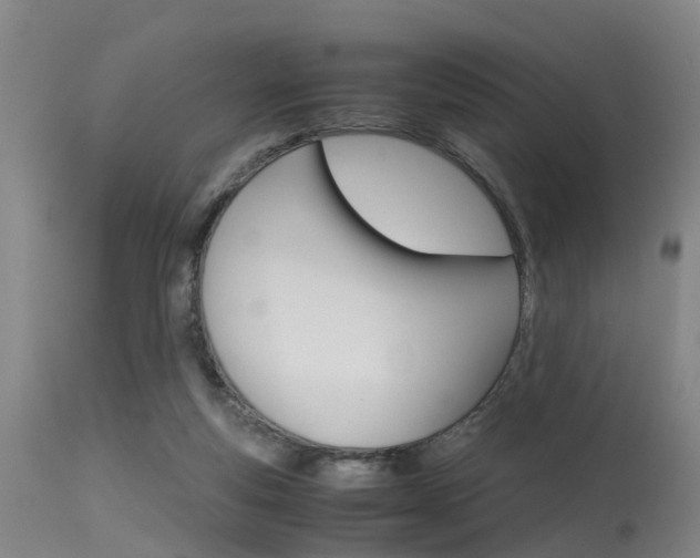 X0000115720163200911121111