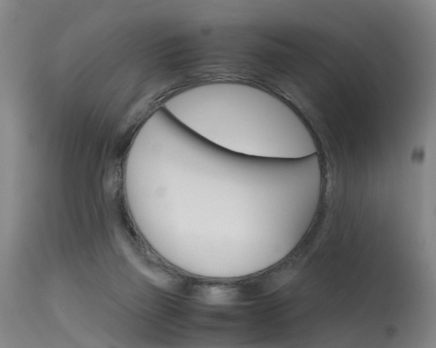 X0000115720165200911121111