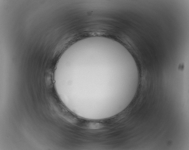X0000115720169200911121111
