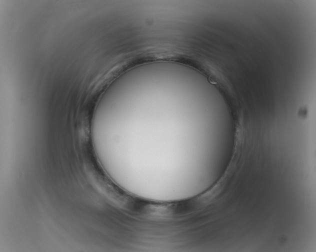 X0000115720170200911121111