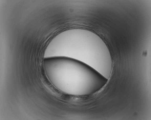 X0000115720174200911121112