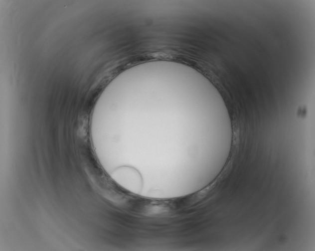 X0000115720175200911121112