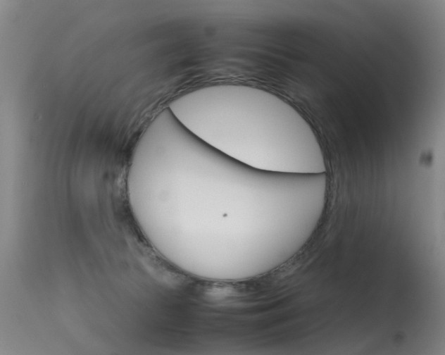 X0000115720177200911121112