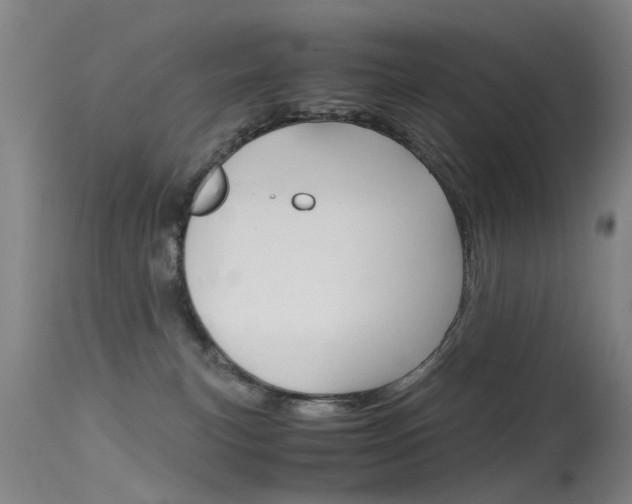 X0000115720183200911121112
