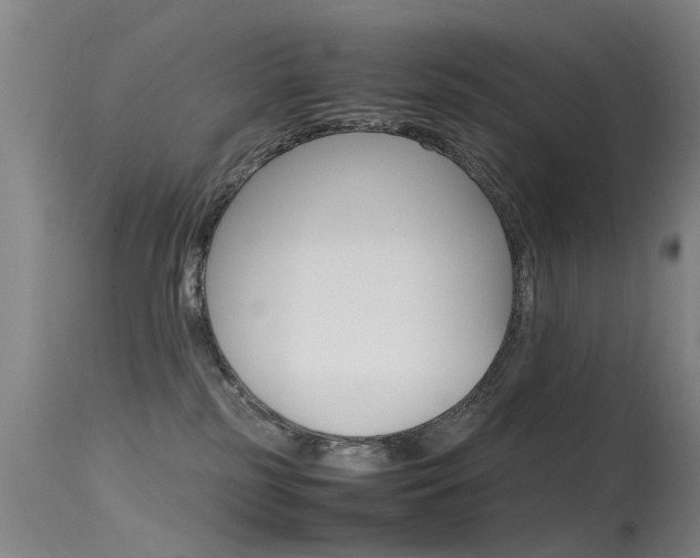 X0000115720185200911121112