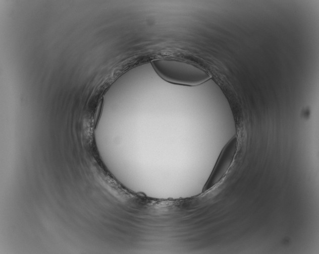 X0000115720186200911121112