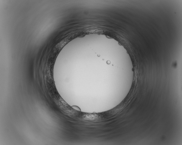 X0000115720189200911121112