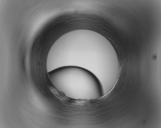 X0000115720190200911121112