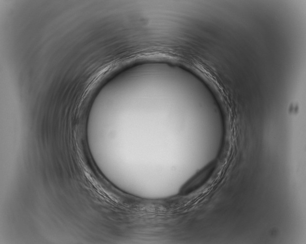 X0000115720193200911121111