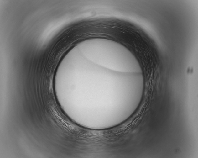 X0000115720194200911121111