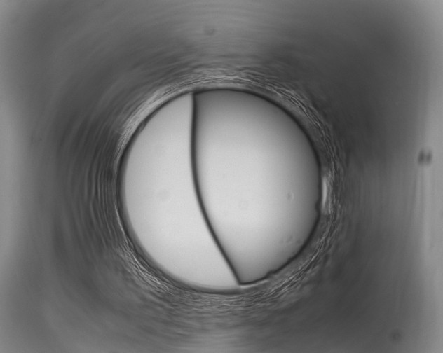 X0000115720195200911121111