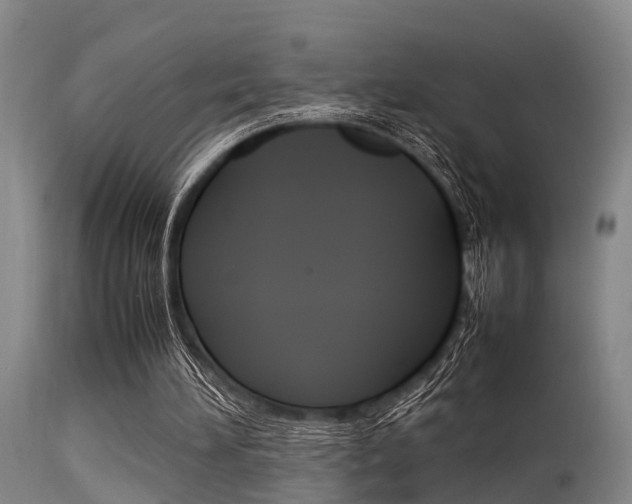 X0000115720196200911121111