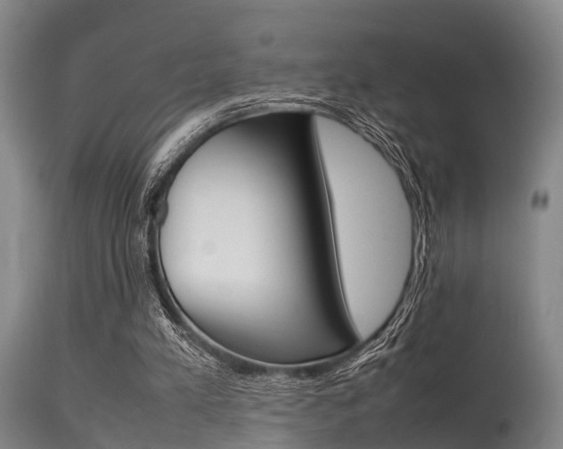 X0000115720197200911121111
