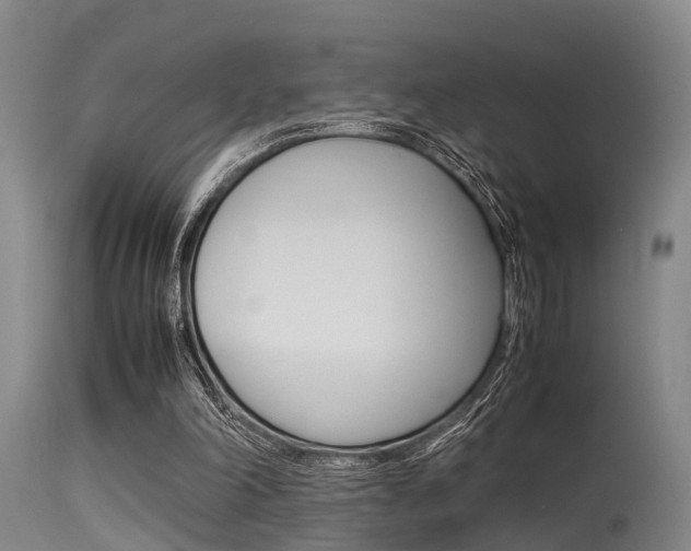 X0000115720198200911121111