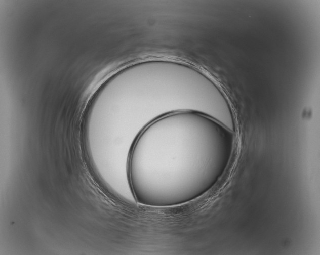 X0000115720199200911121111