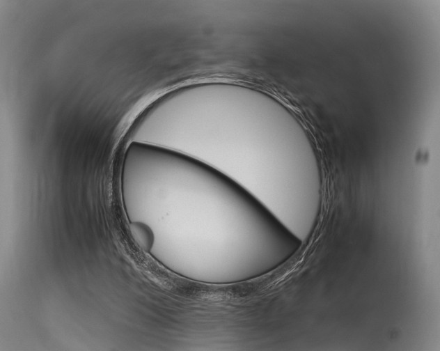 X0000115720200200911121111