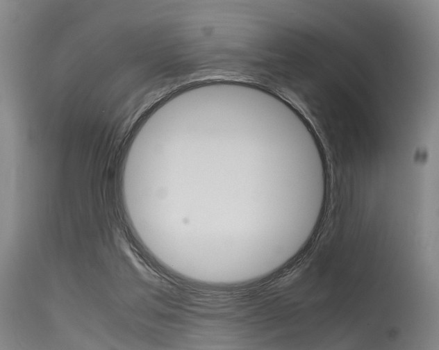 X0000115720205200911121111