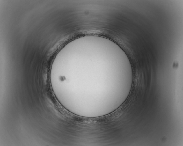 X0000115720206200911121111