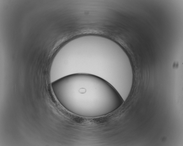 X0000115720207200911121111