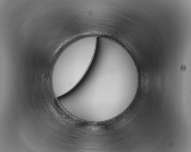 X0000115720208200911121111