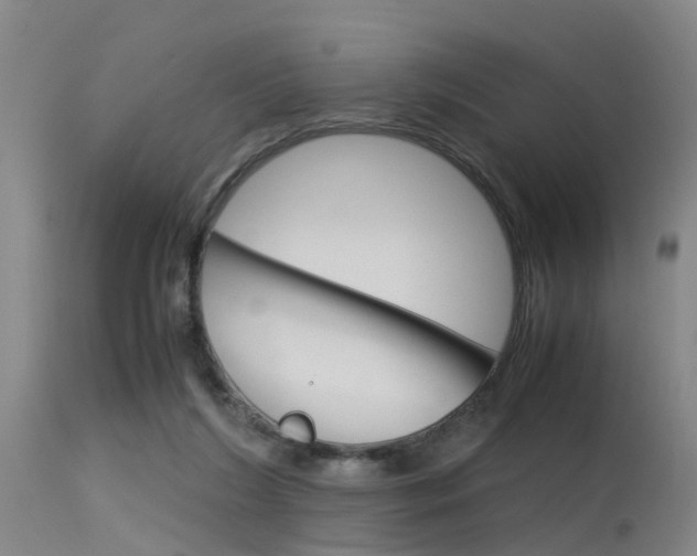 X0000115720212200911121111